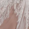 Cassia Lace Trim Veil – White