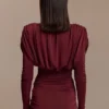 Hayden Long Sleeve Plunge Mini Dress – Burgundy