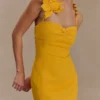Reyes Cotton Floral Mini Dress – Butterscotch Reyes Cotton Floral Mini Dress – Butterscotch