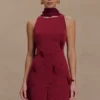Skyler Suiting Embroidered Mini Dress – Wine Skyler Suiting Embroidered Mini Dress – Wine