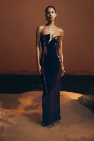 Winston Strapless Sequin Maxi Dress – Plum